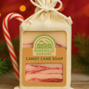 Candy Cane Soap