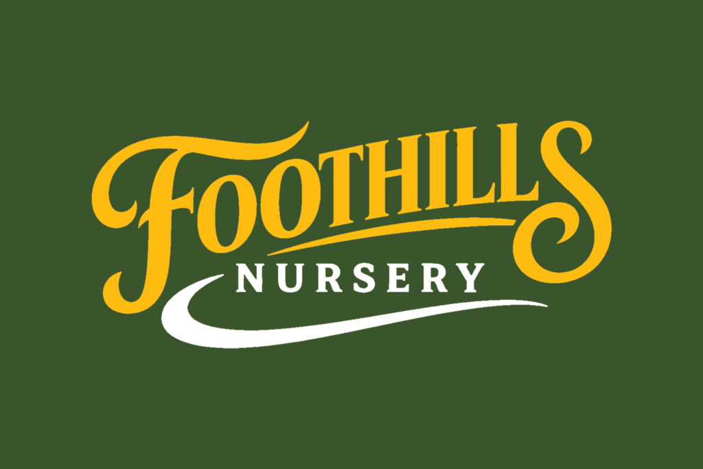 logo-for-white-background